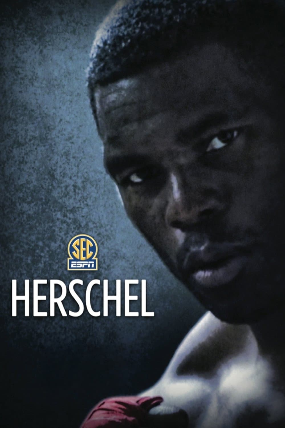 Poster di Herschel