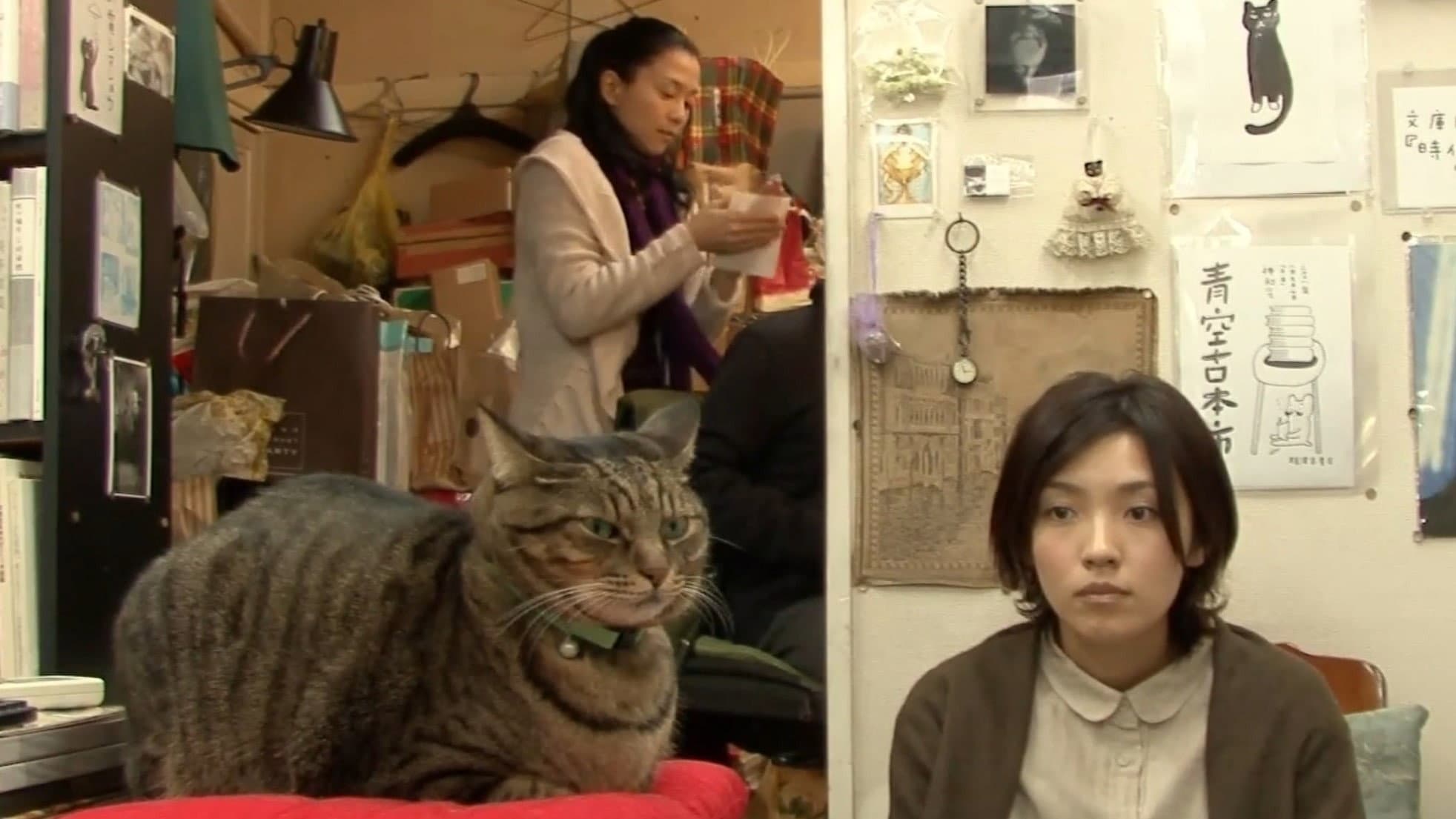 私は猫ストーカー - immagine