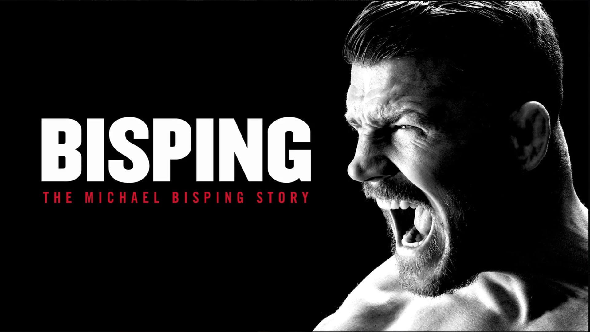Bisping - immagine