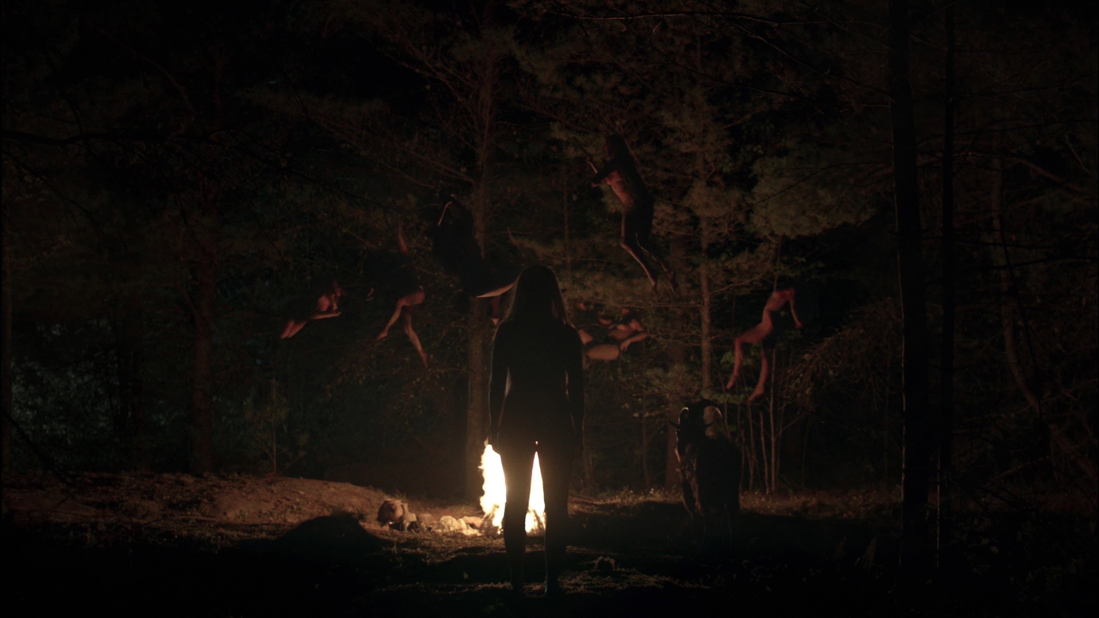 The Witch - immagine