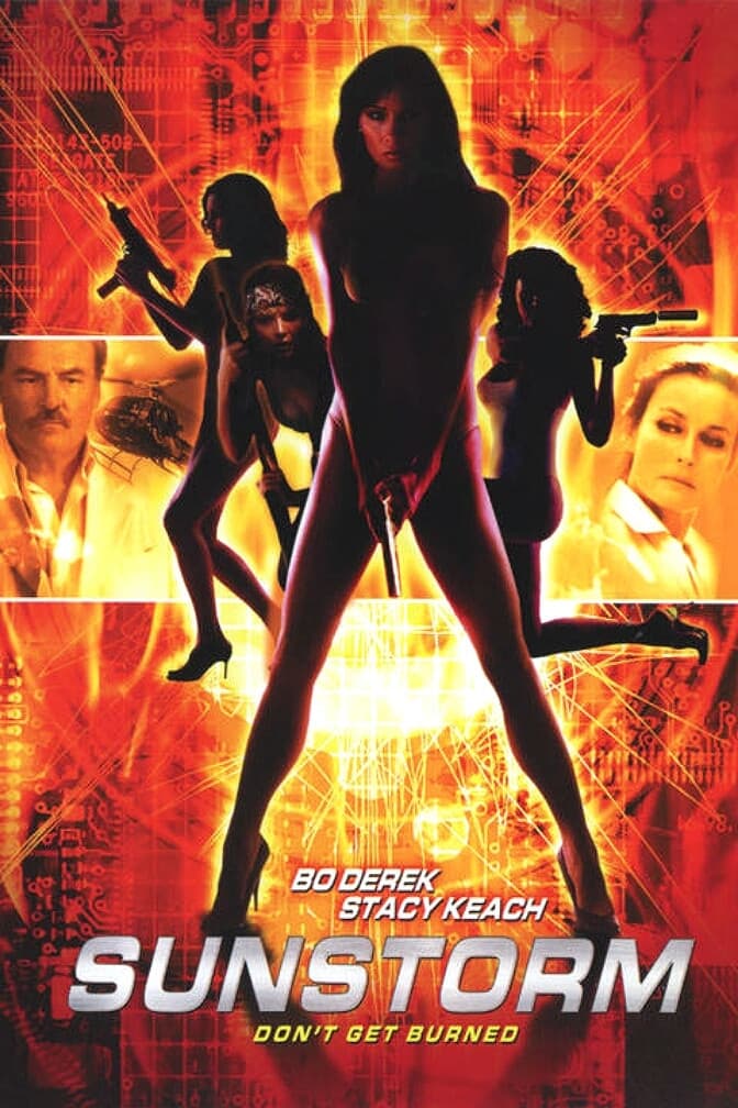 Poster di Sunstorm
