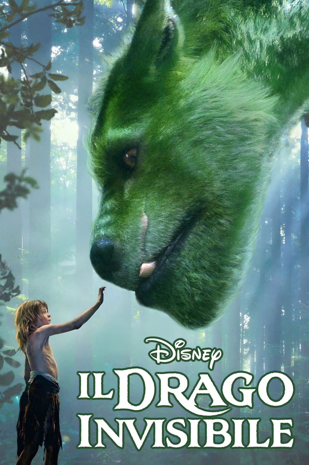 Poster di Il drago invisibile