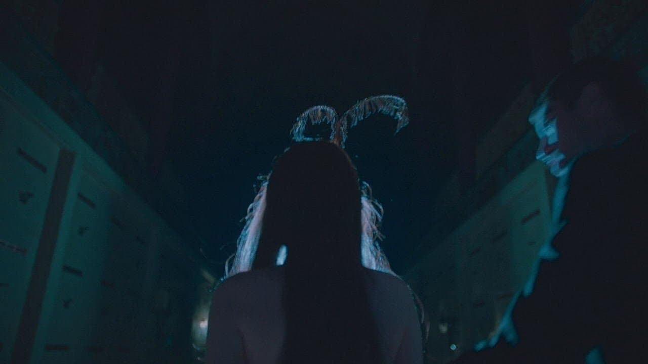 Habit - immagine