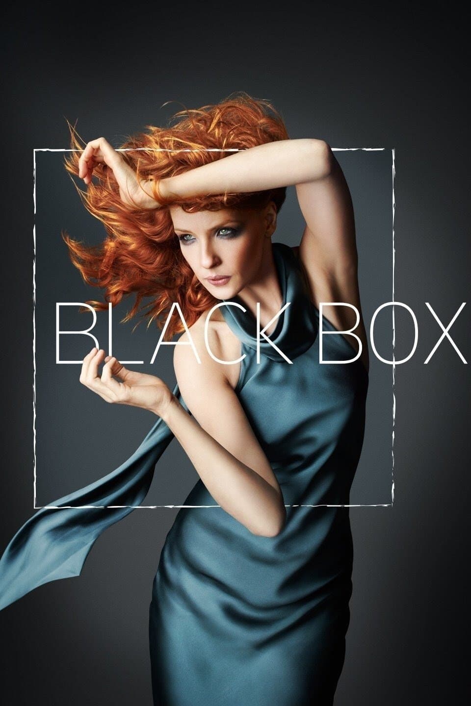 Poster di Black Box