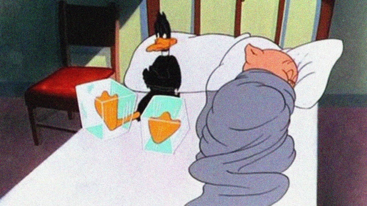 Daffy Duck dorme qui - immagine