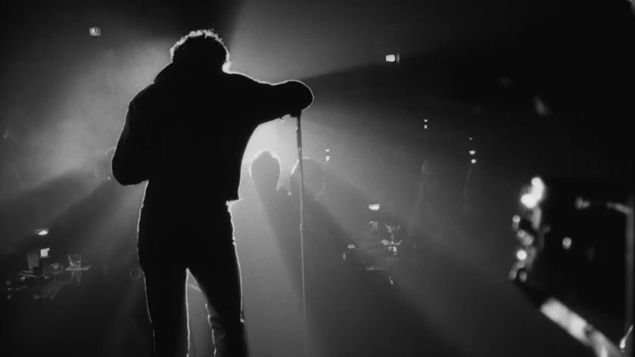 Lenny - immagine