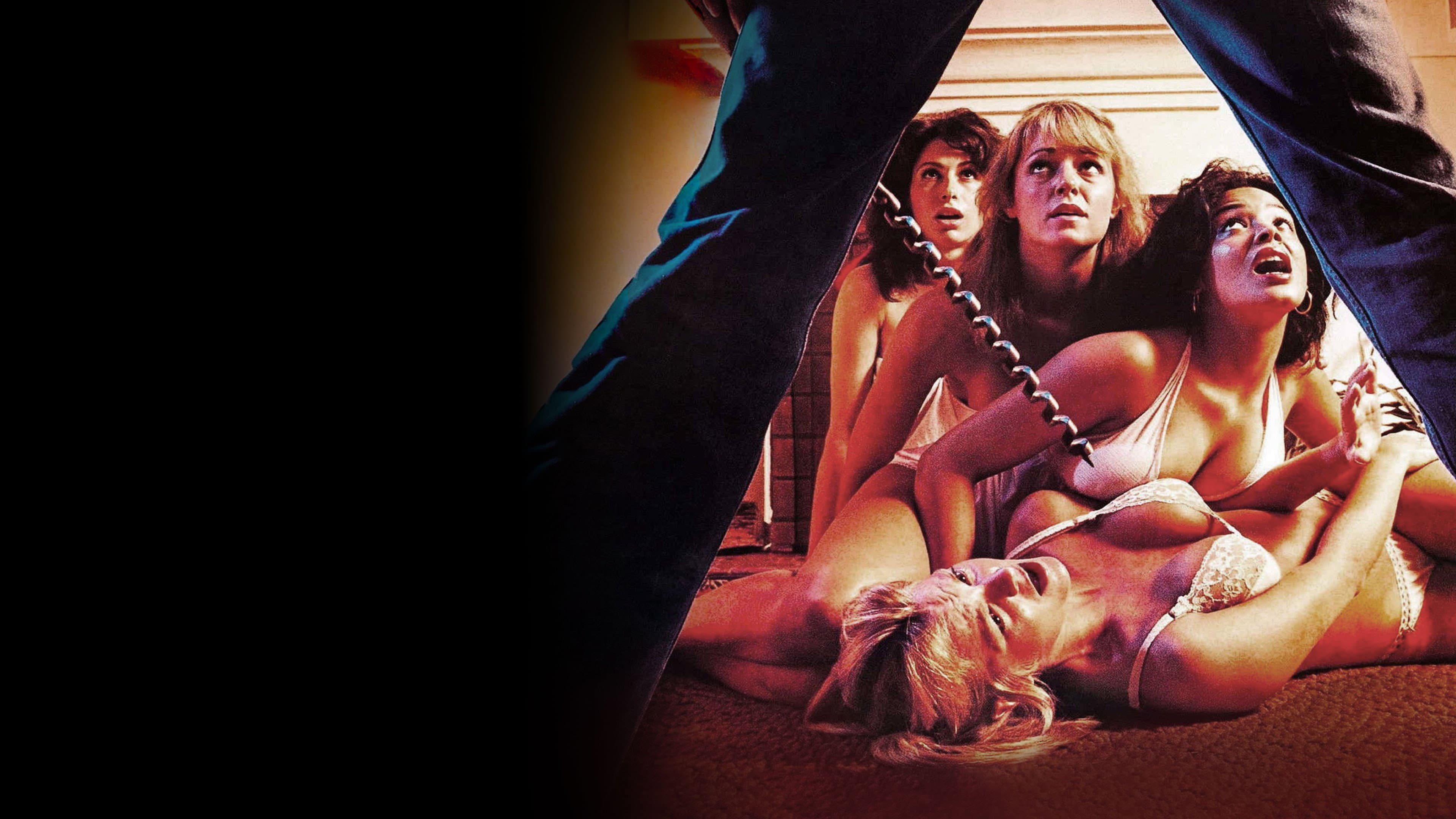 The Slumber Party Massacre - immagine