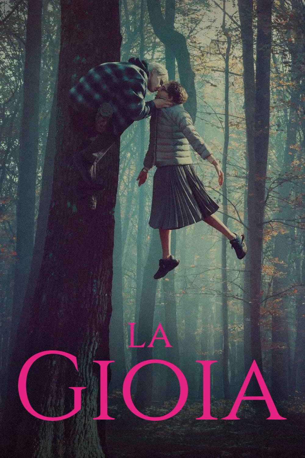 Poster di La gioia