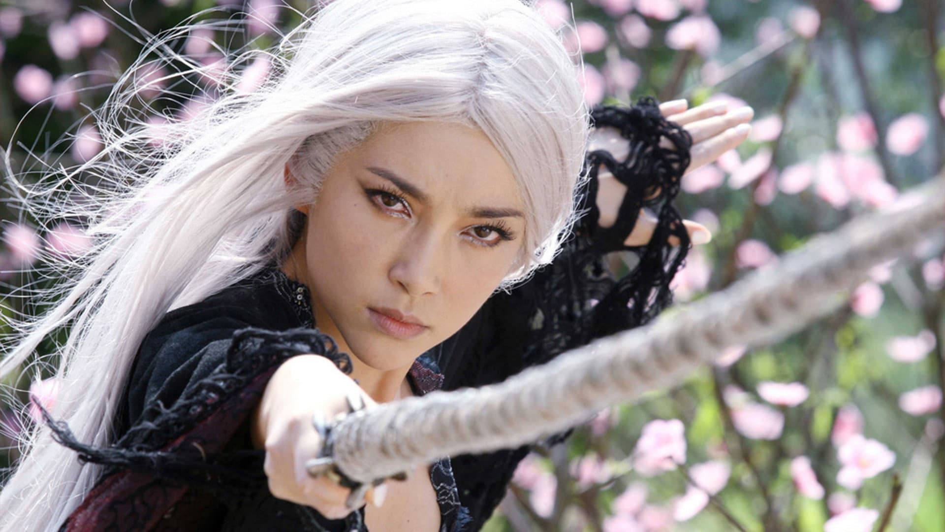 The Bride with White Hair - immagine