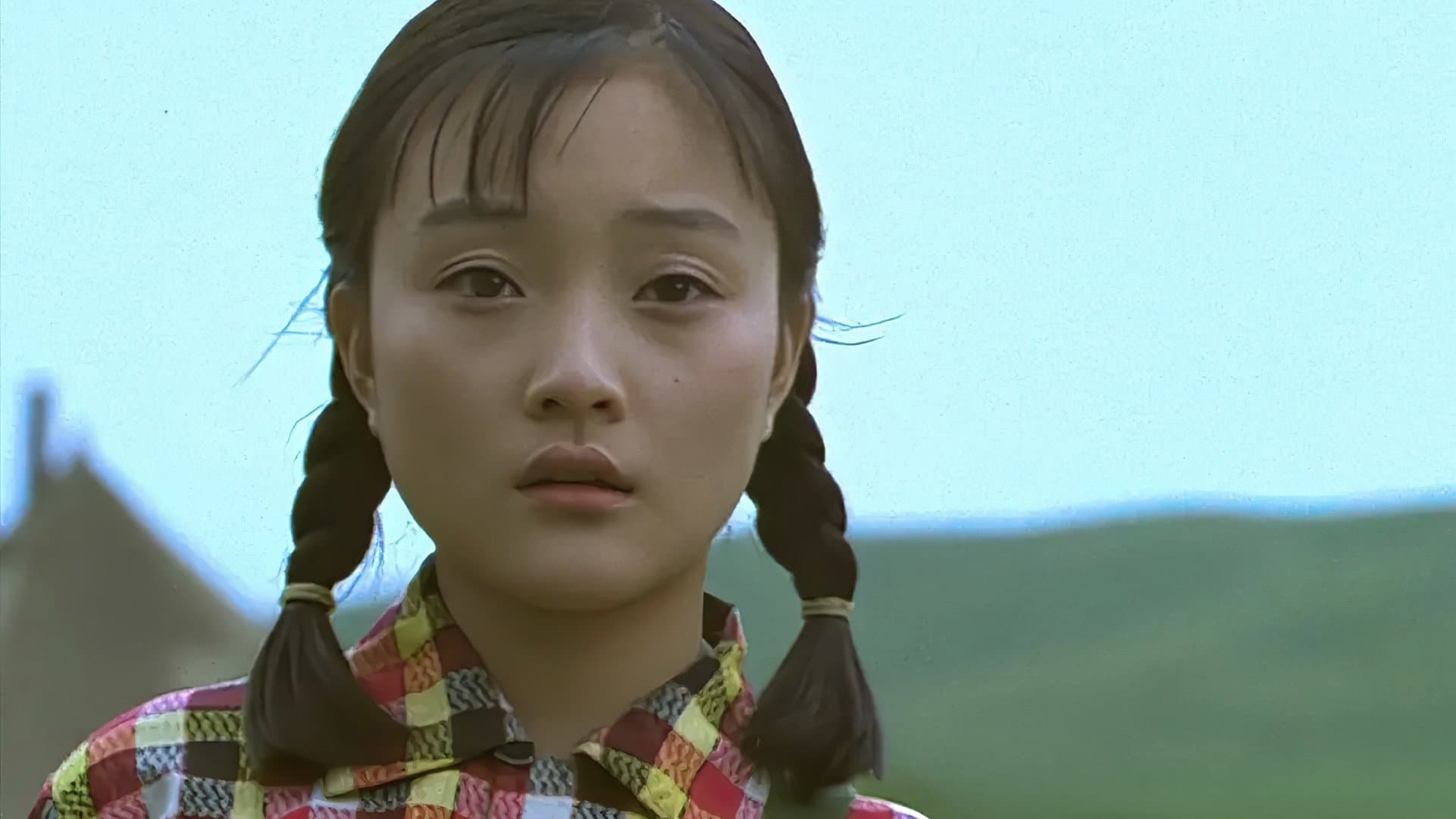 Xiu Xiu: The Sent-Down Girl - immagine