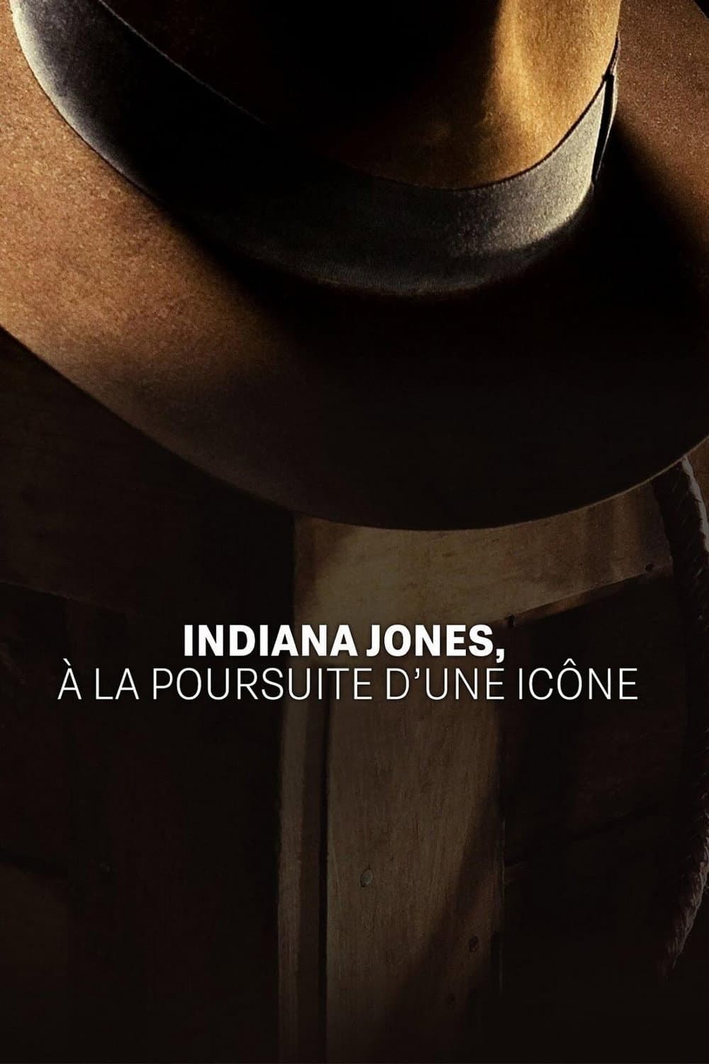 Poster di Indiana Jones : à la poursuite d’une icône