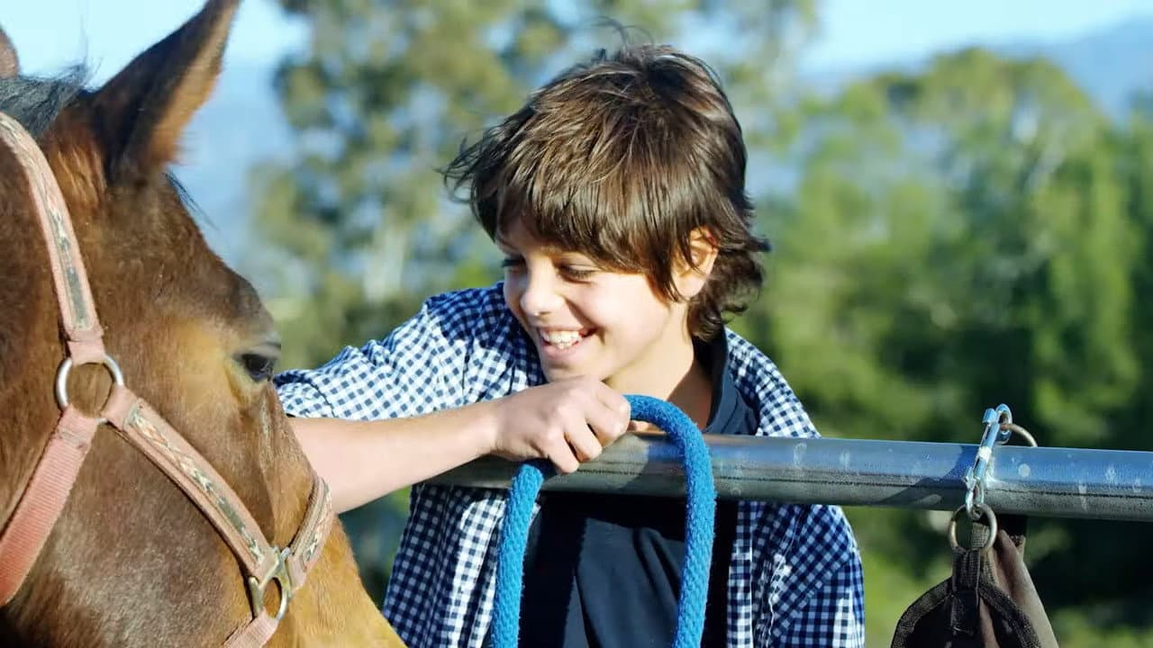 Ace & the Christmas Miracle - immagine
