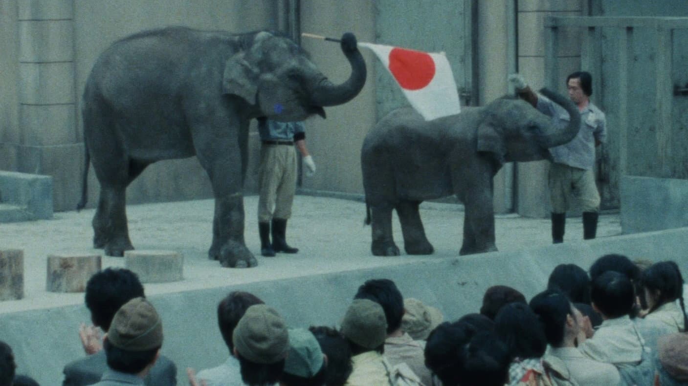 子象物語 地上に降りた天使 - immagine
