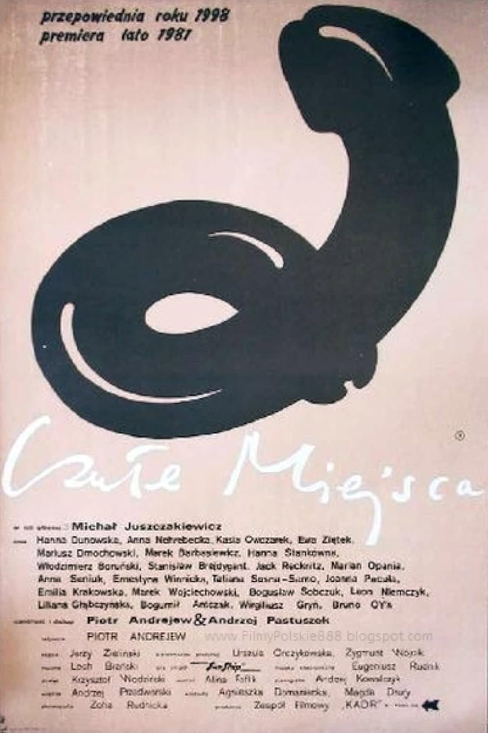 Poster di Czułe miejsca