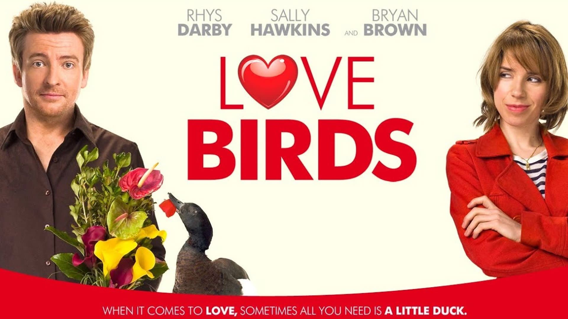 Love Birds - immagine