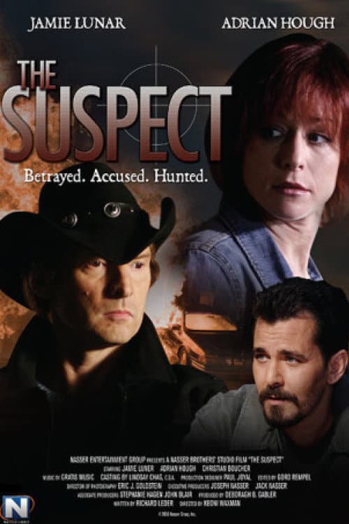 Poster di The Suspect - Inganno fatale