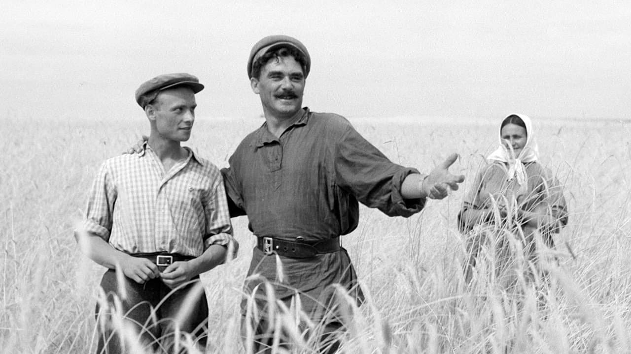 Возвращение Василия Бортникова - immagine