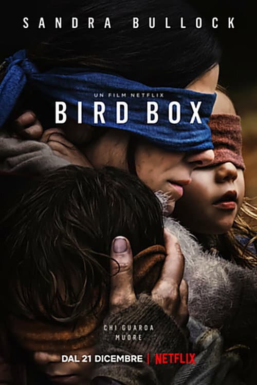 Poster di Bird Box