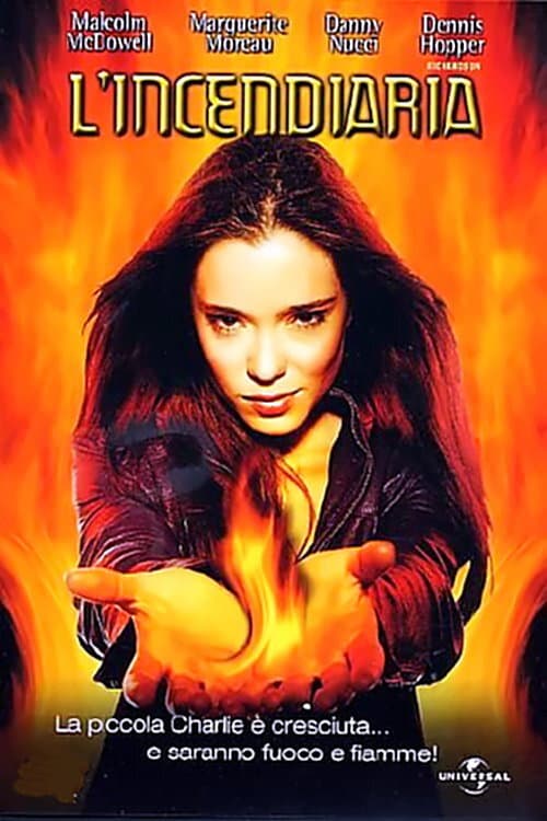 Poster di L'incendiaria