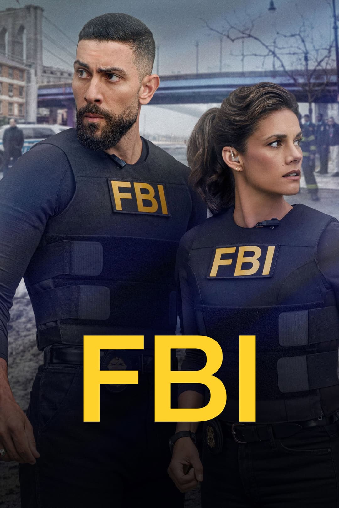 Poster di FBI