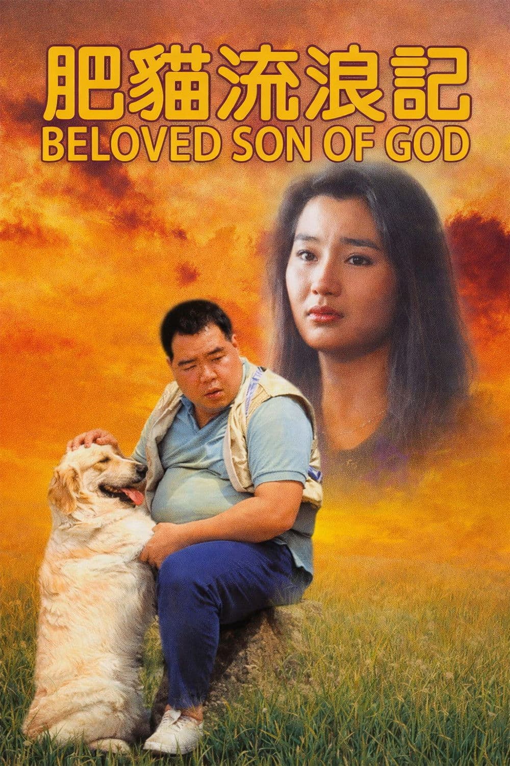 Poster di 肥貓流浪記