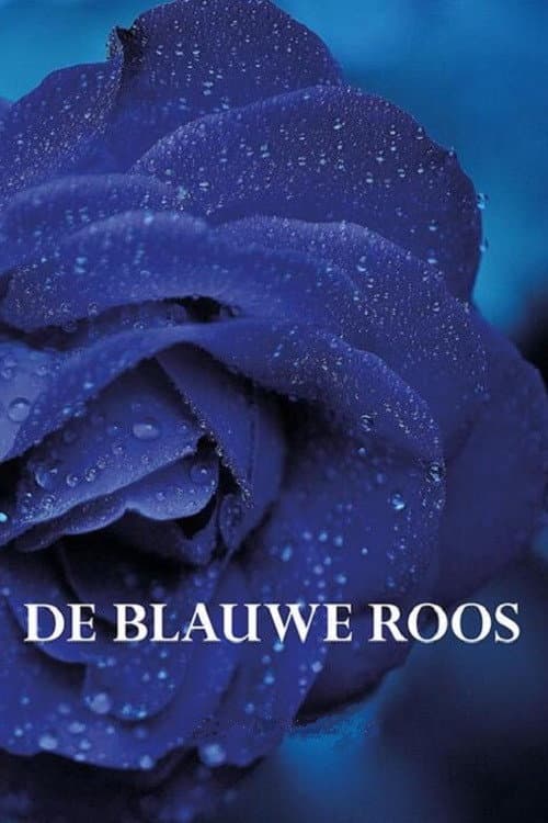 Poster di De blauwe roos