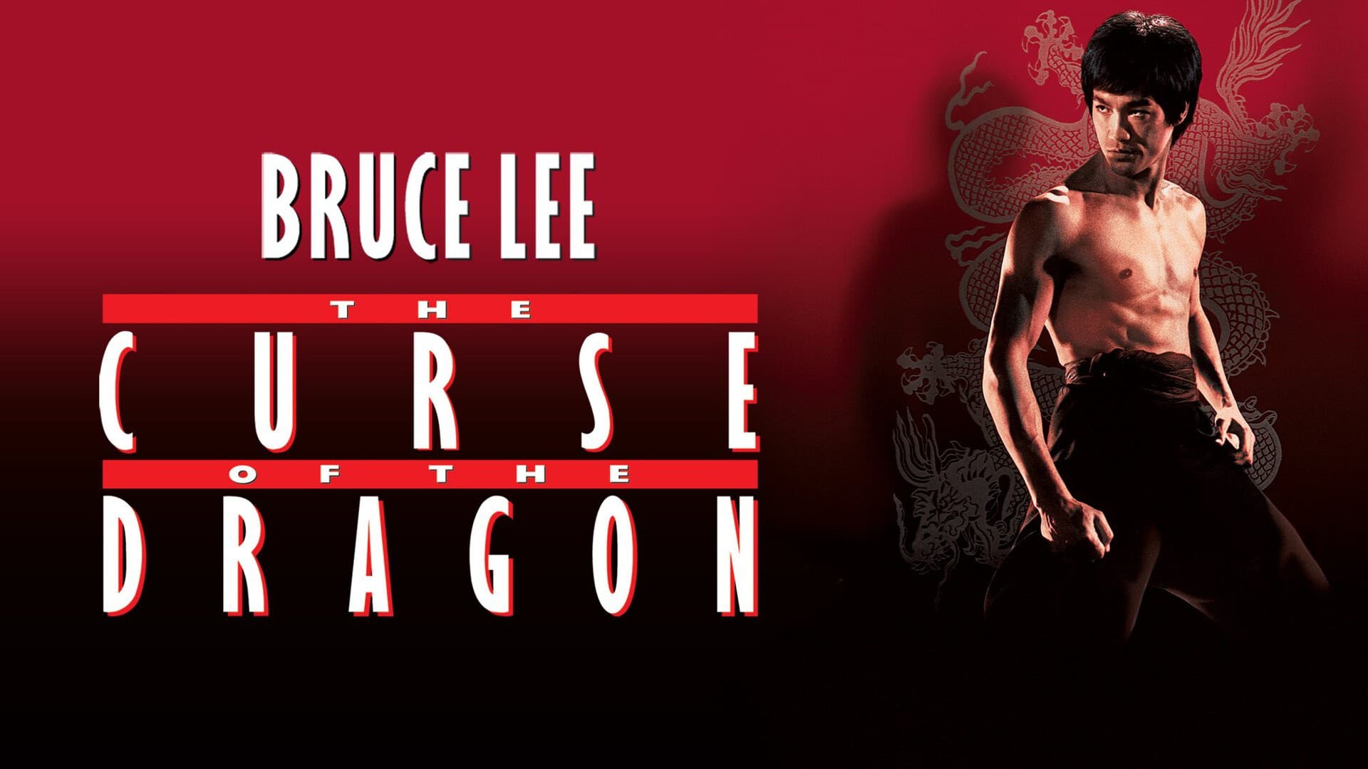 Bruce Lee: la maledizione del drago - immagine