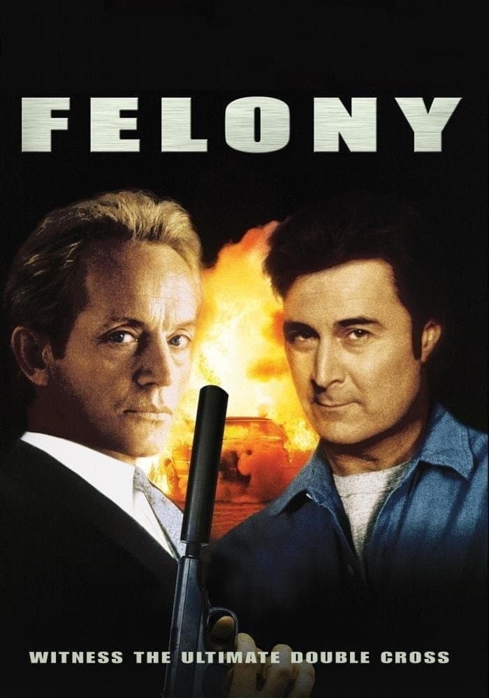 Poster di Felony