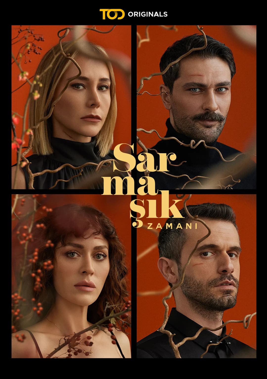 Poster di Sarmaşık Zamanı