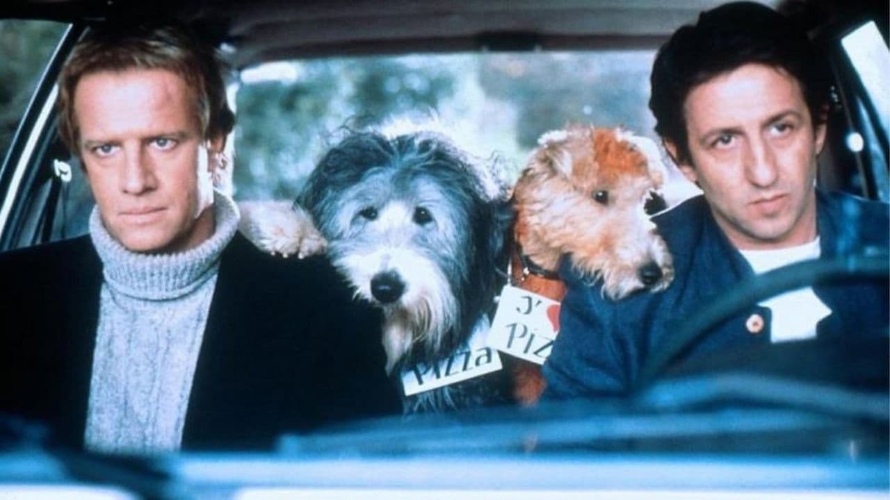 Hercule & Sherlock - immagine