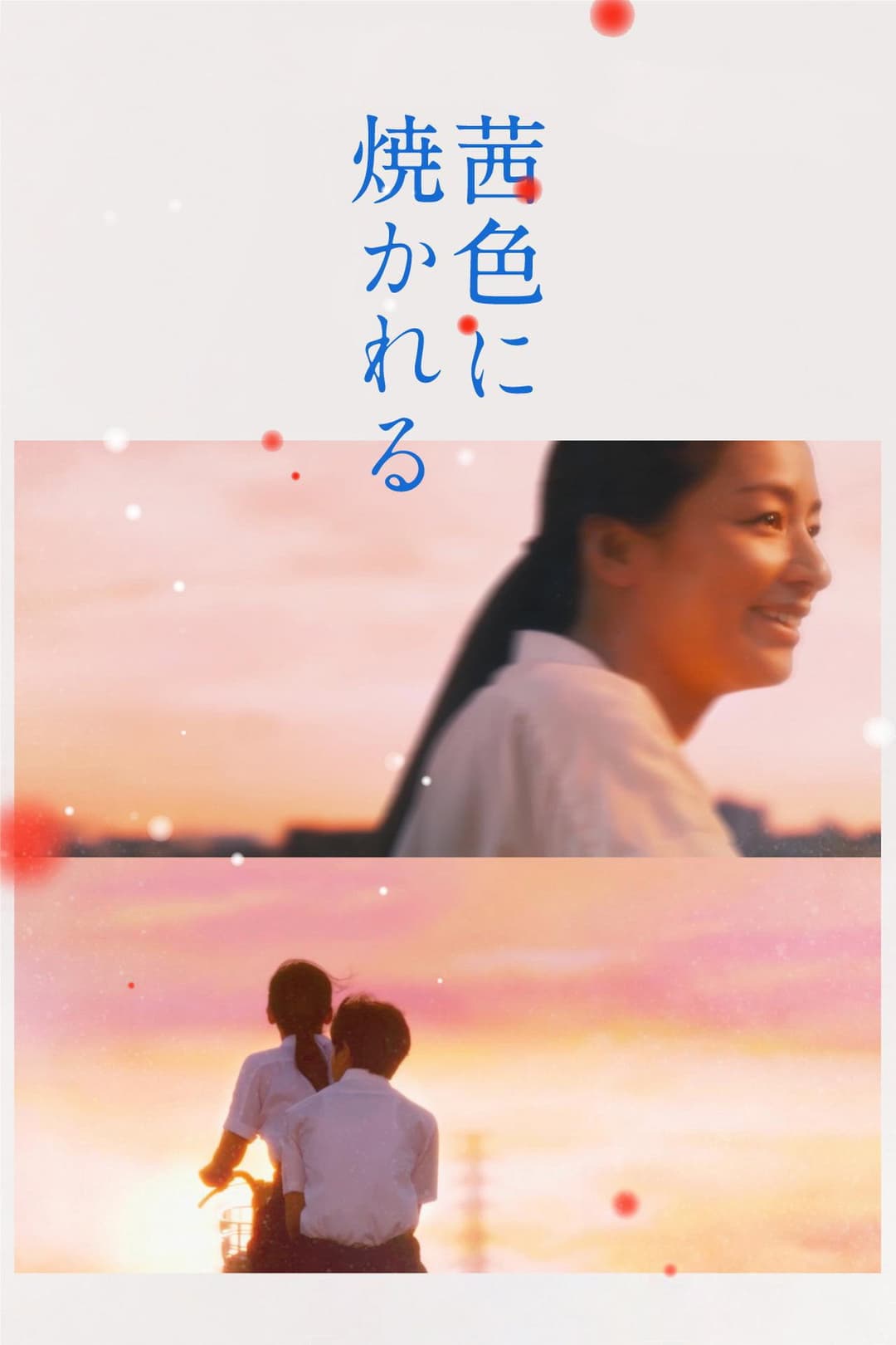 Poster di Burned in Akane