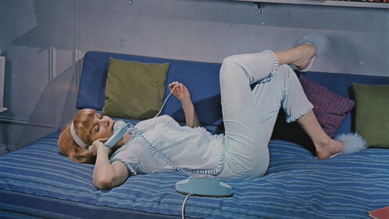 Harvey Middleman, Fireman - immagine