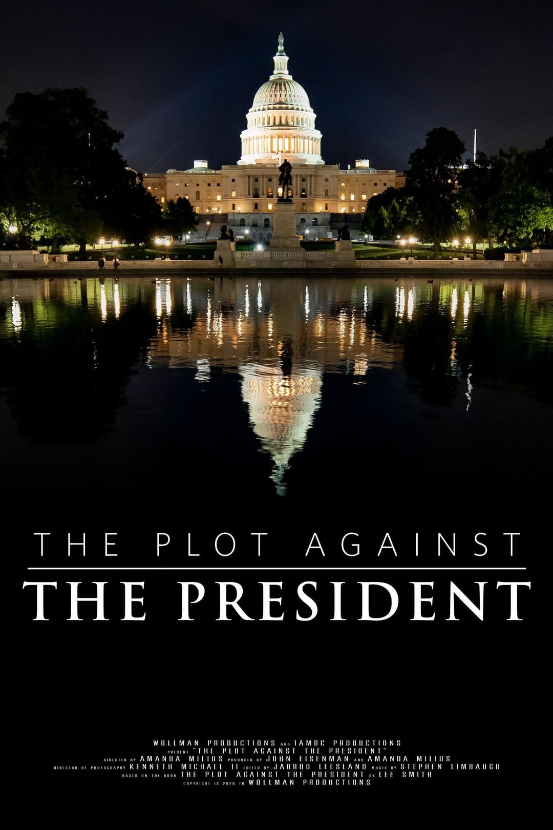 Poster di The Plot Against the President