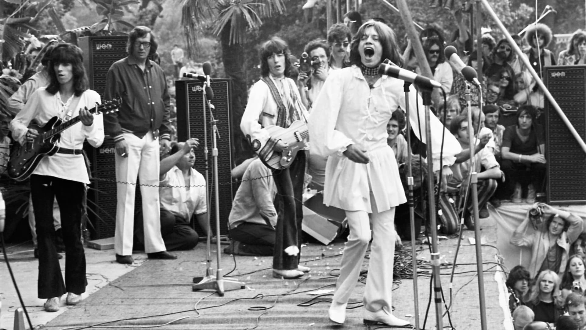 The Stones in the Park - immagine