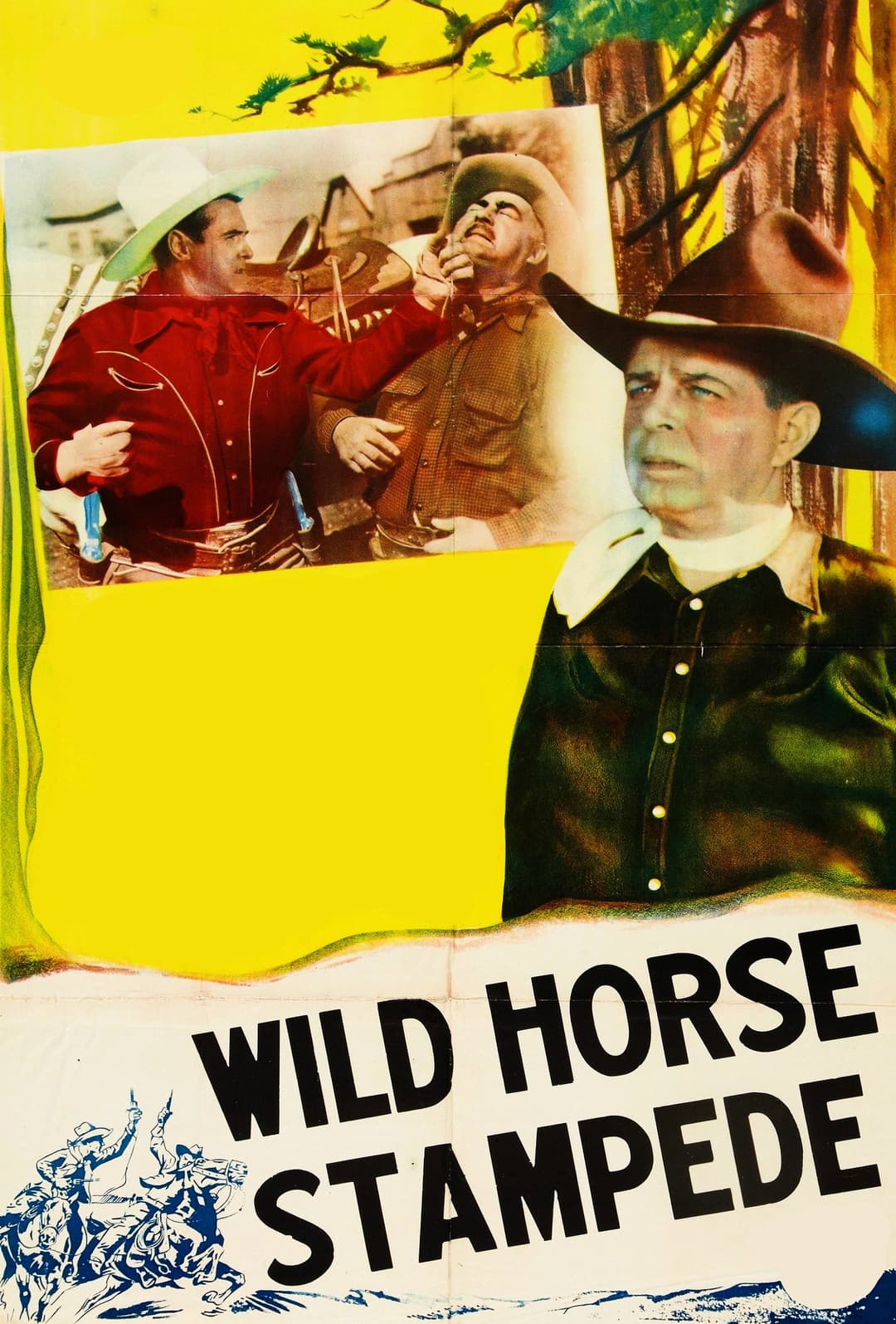 Poster di Wild Horse Stampede