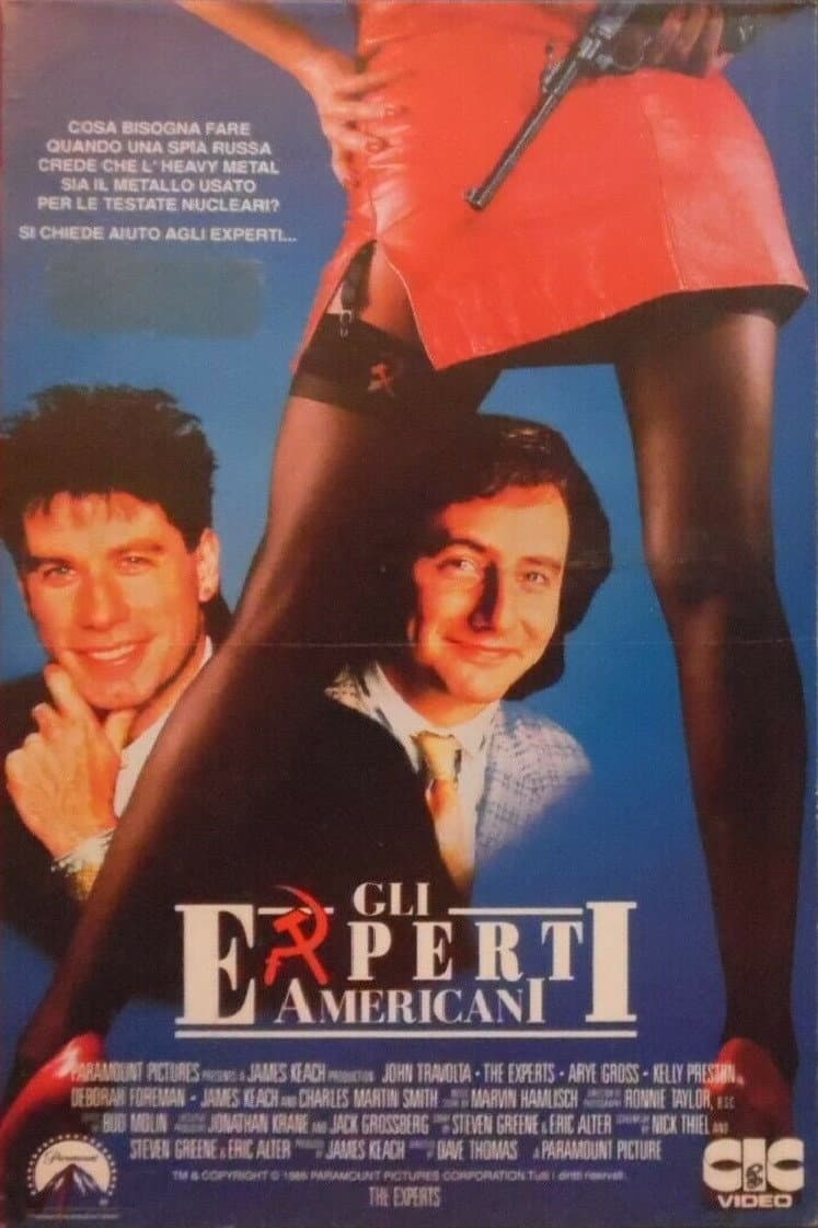 Poster di Gli esperti americani
