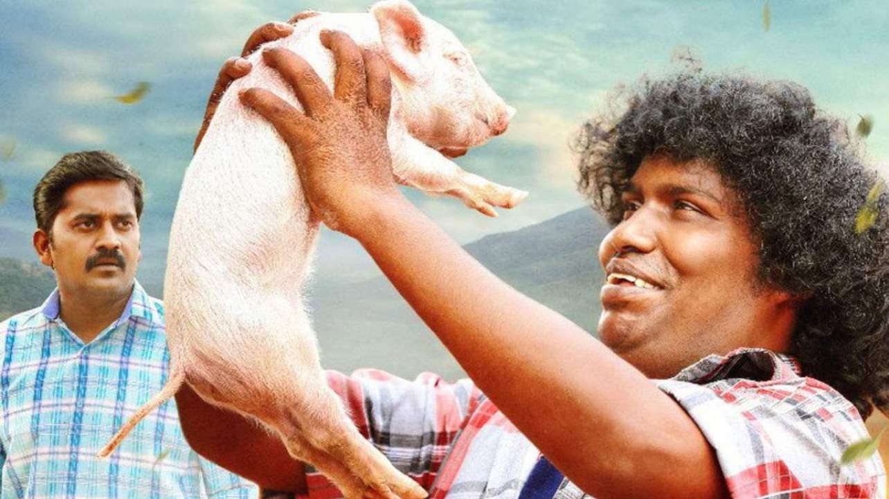பன்னி குட்டி - immagine