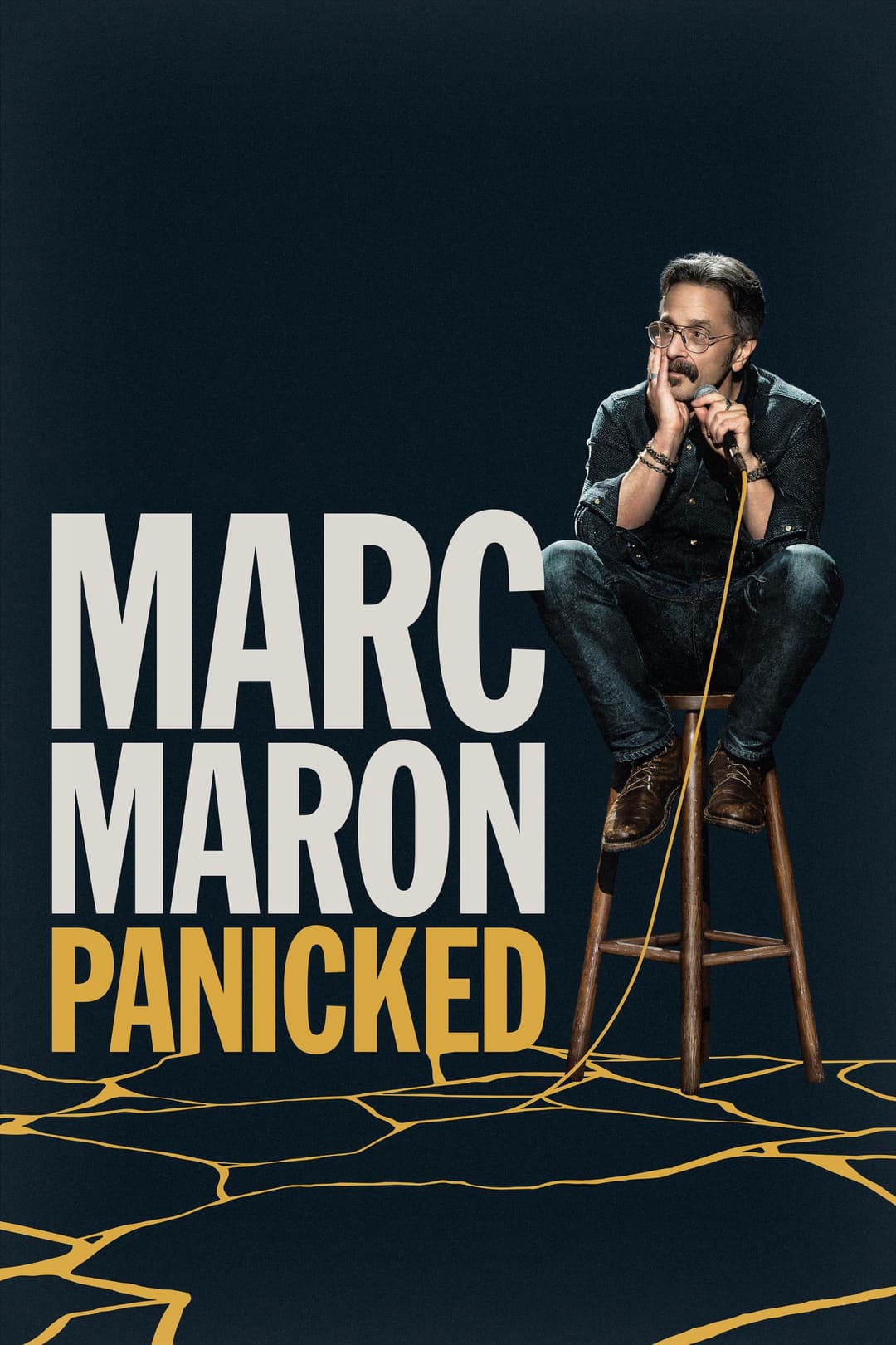 Poster di Marc Maron: Panicked