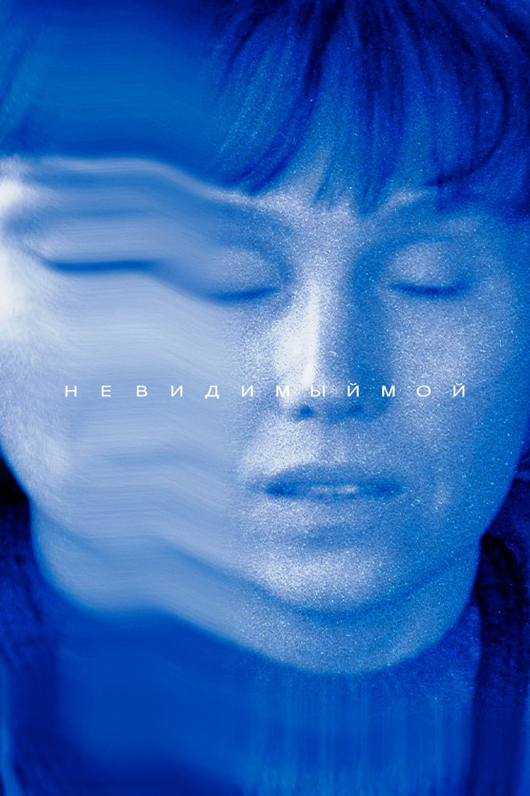 Poster di Невидимый мой