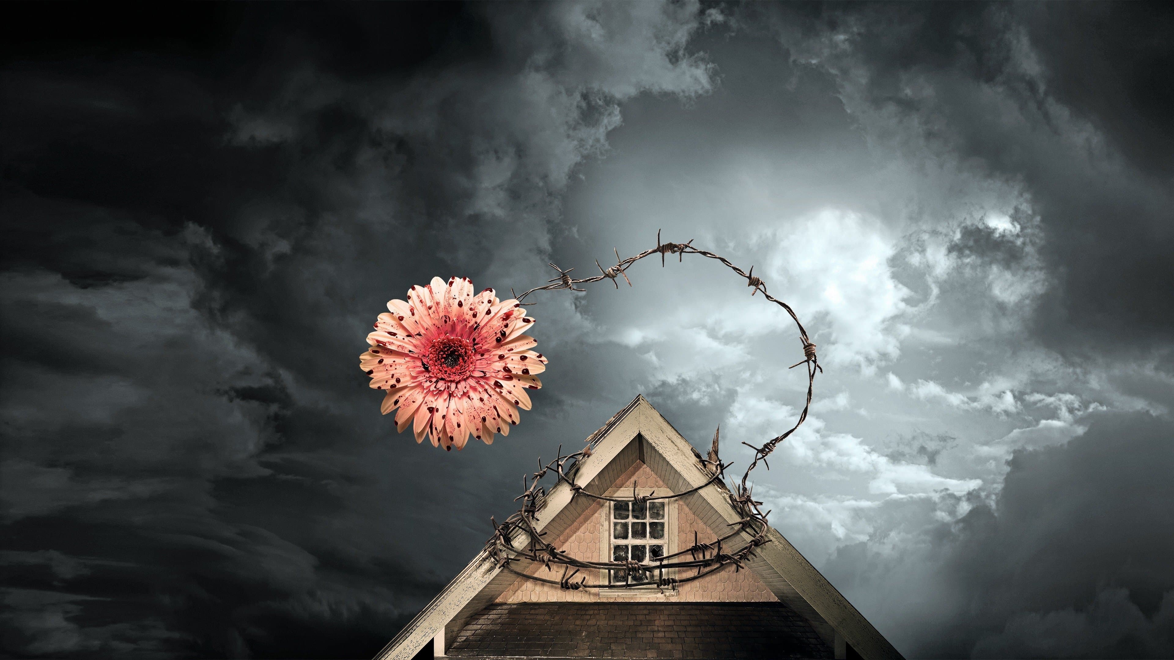 Petals on the Wind - immagine