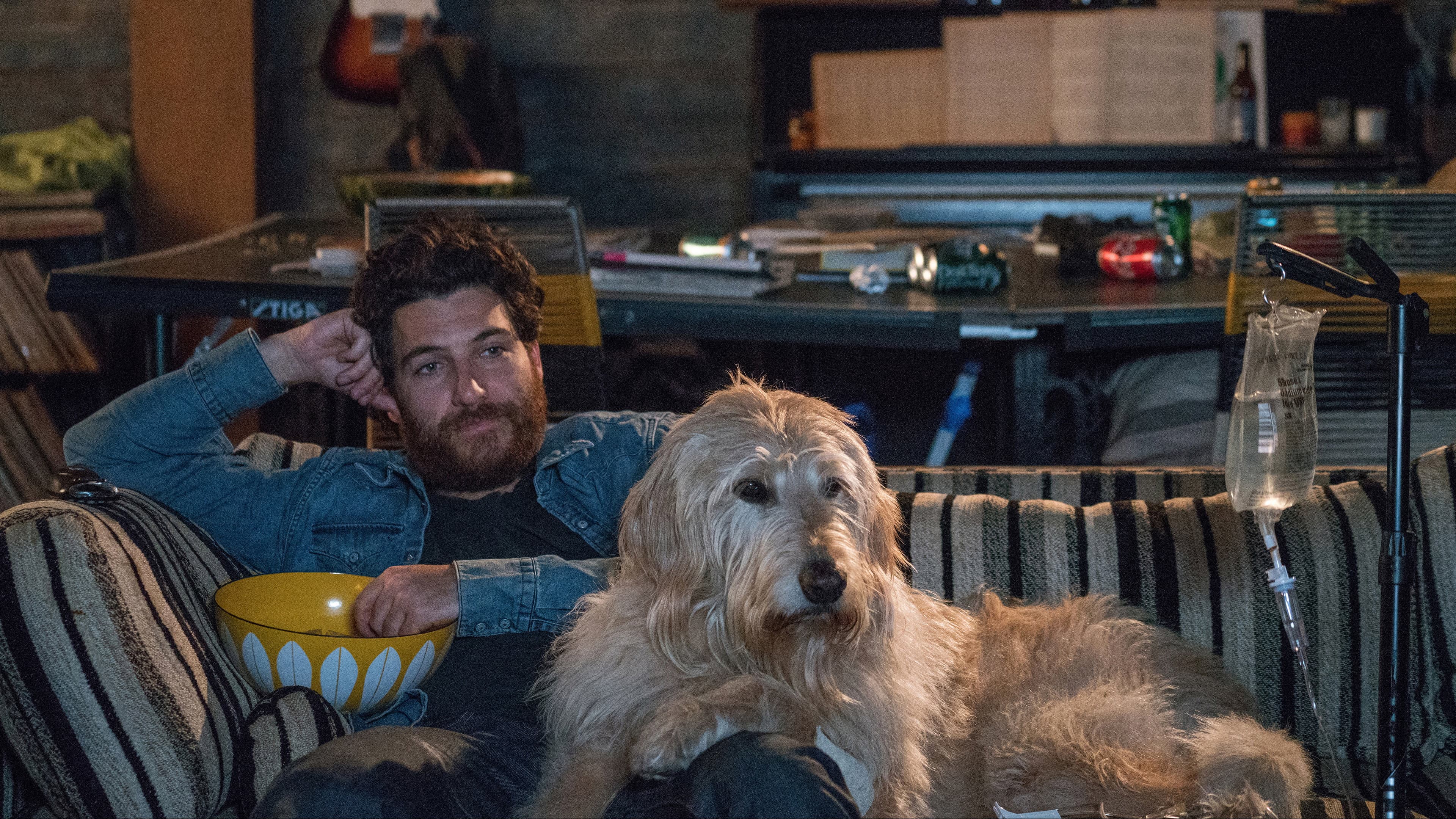 Dog Days - immagine