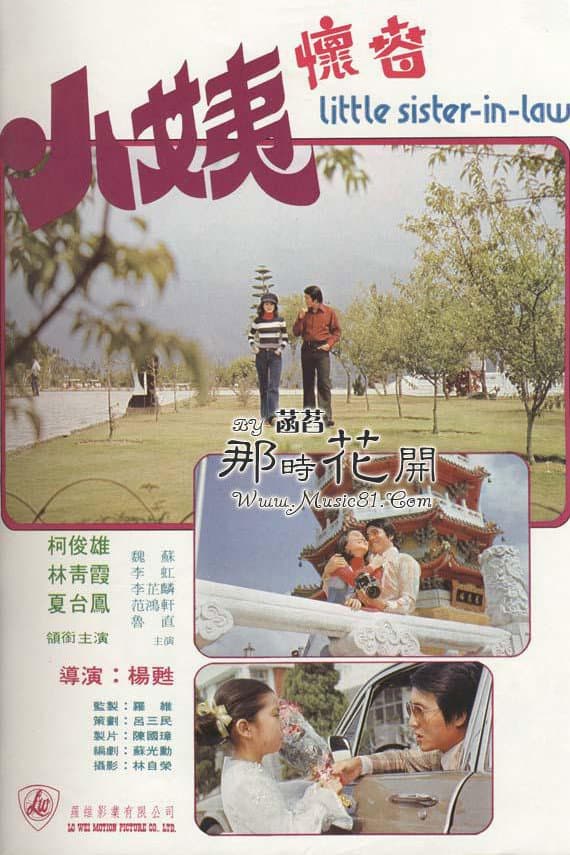 Poster di 小姨懷春