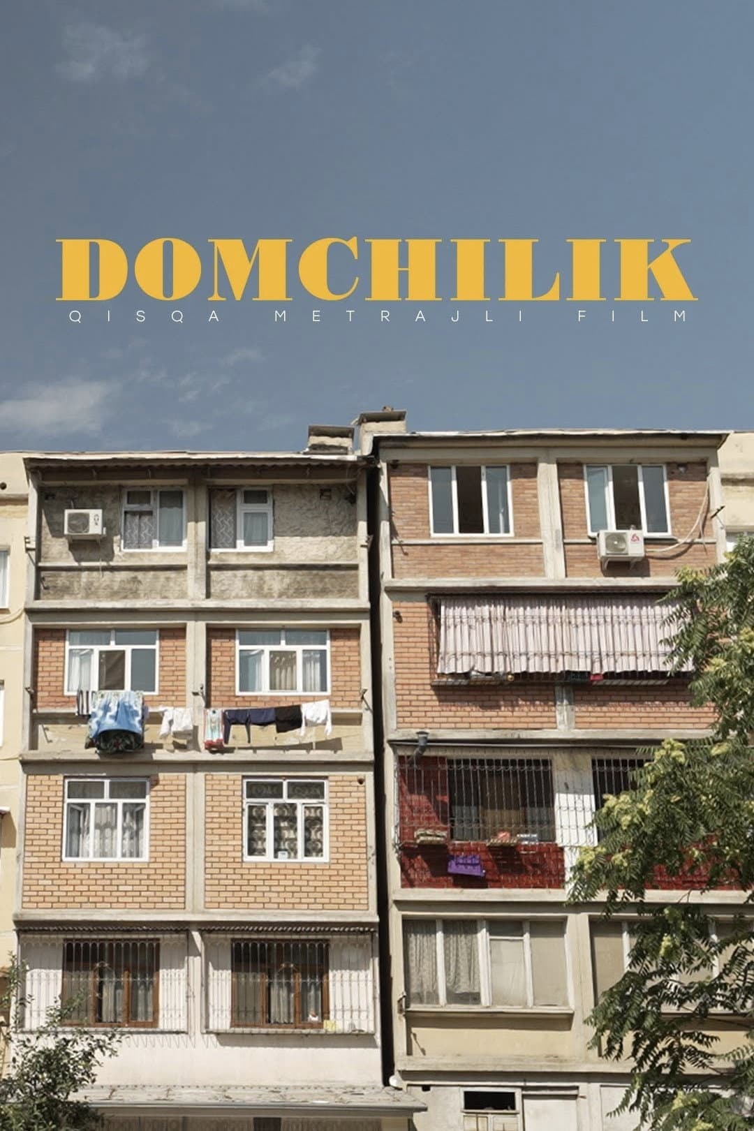 Poster di Domchilik