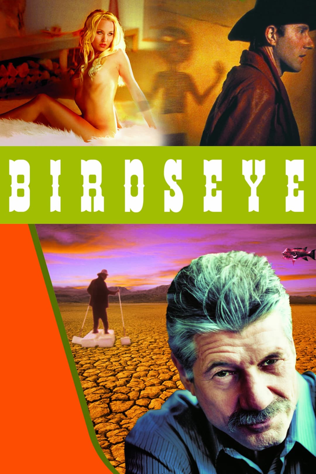 Poster di Birdseye