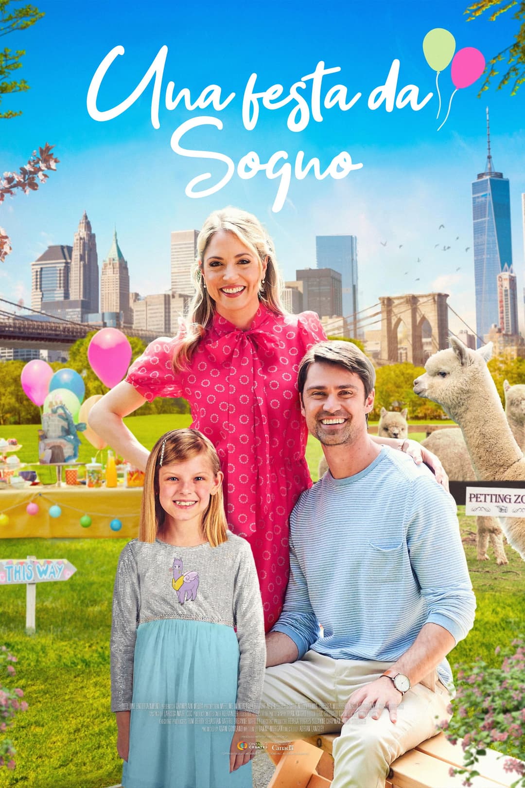 Poster di Una festa da sogno