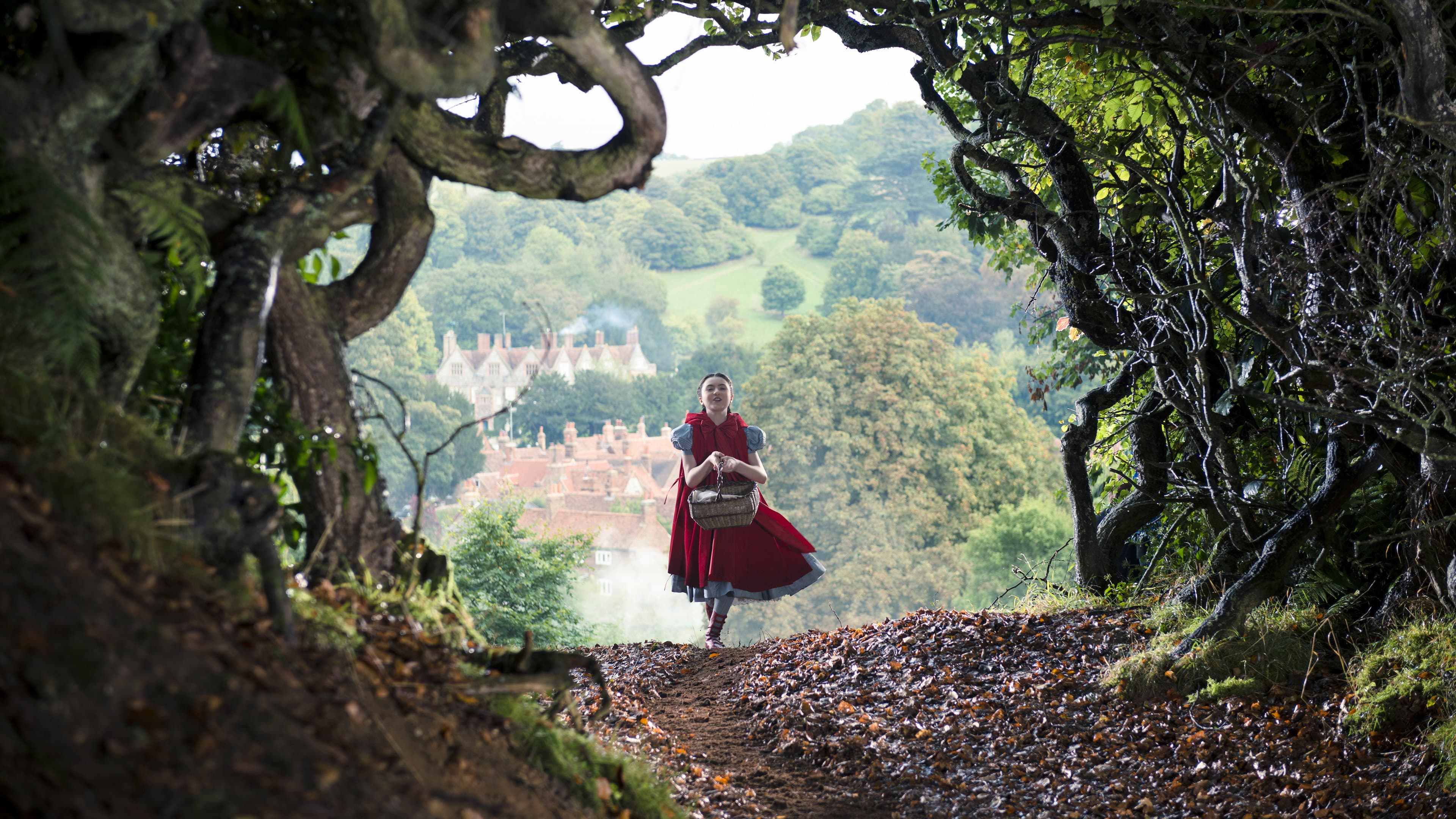 Into the Woods - immagine