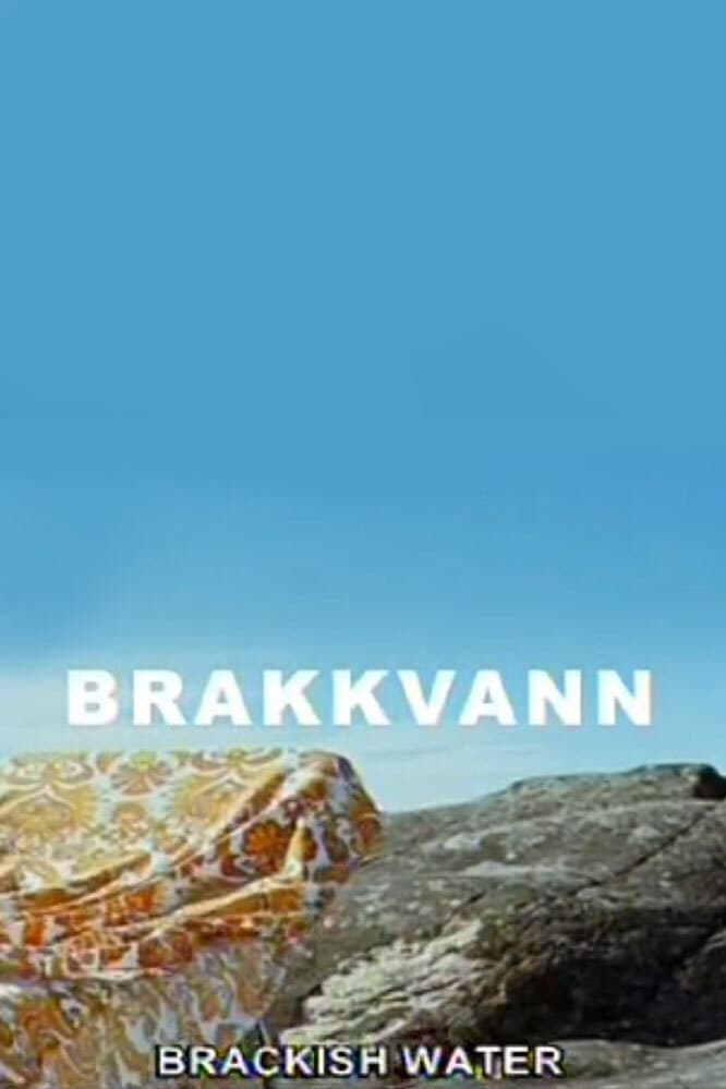Poster di Brakkvann