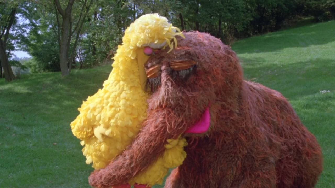 Follow That Bird - immagine