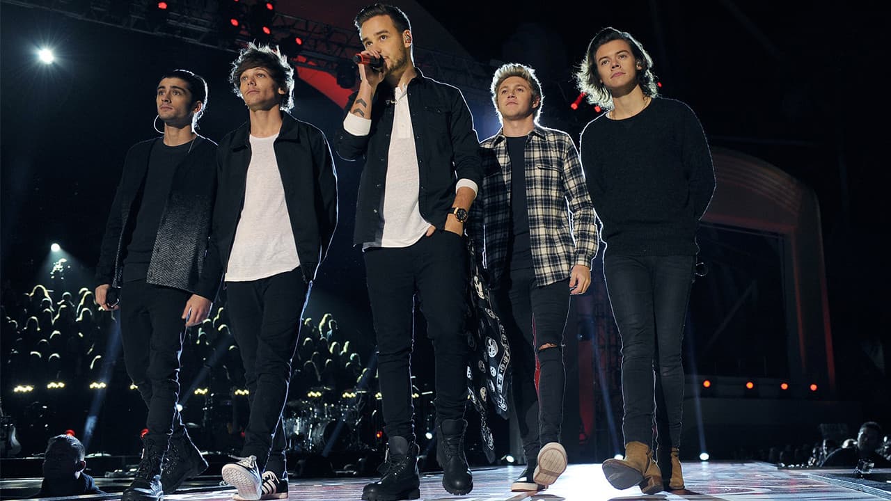 One Direction: The TV Special - immagine