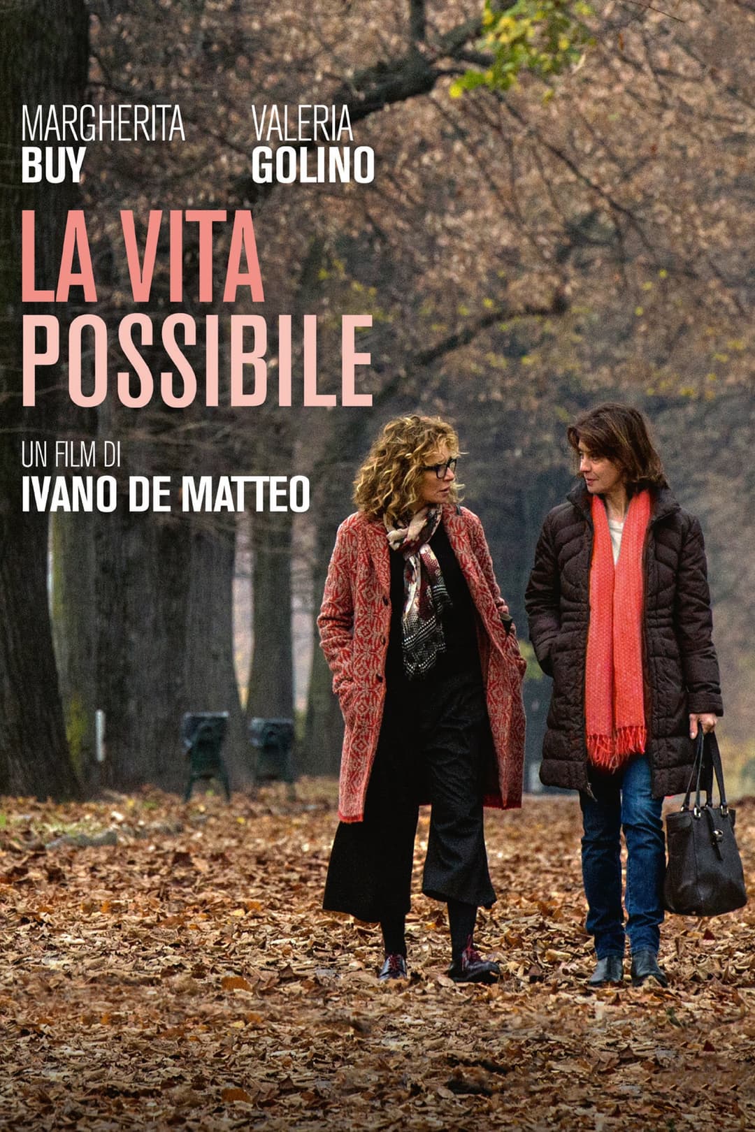 Poster di La vita possibile